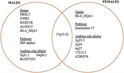 Sex Differences in Airway Remodeling and Inflammation: Clinical and Biological Factors
